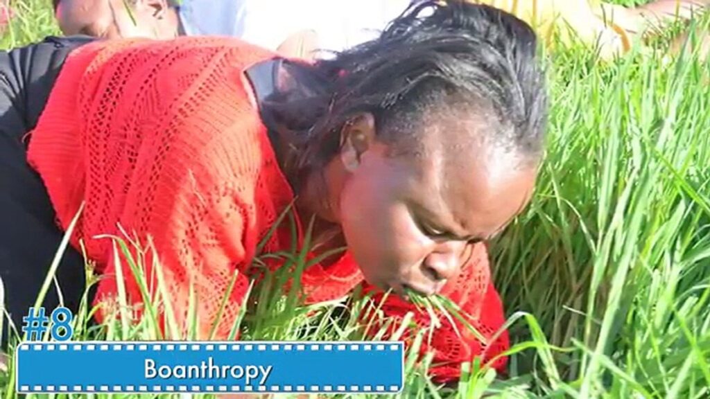 Boanthropy, a Psychological Disorder That Makes the Sufferer Think They are Cows boanthropy a psychological disorder